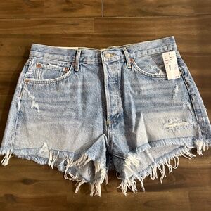 Agolde Parker Shorts